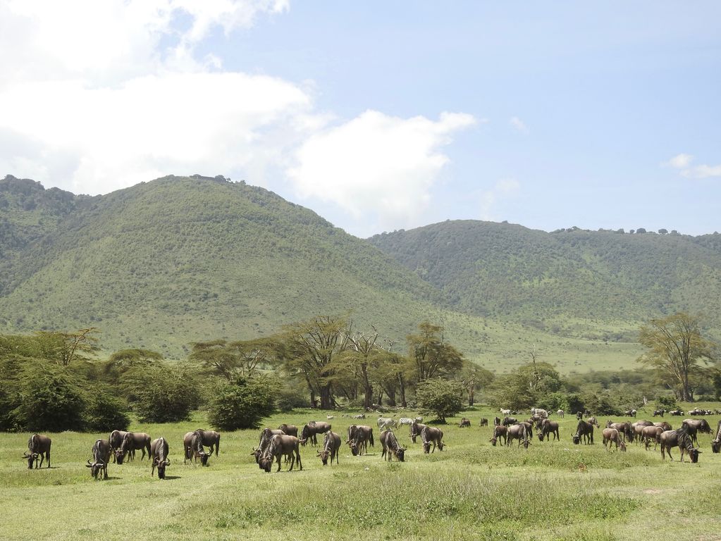 Ngorongoro crater Tanzania uitzicht